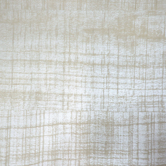Wall Panel – Ivory Birch