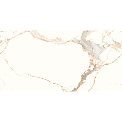 AT 60x120 Gold Polished