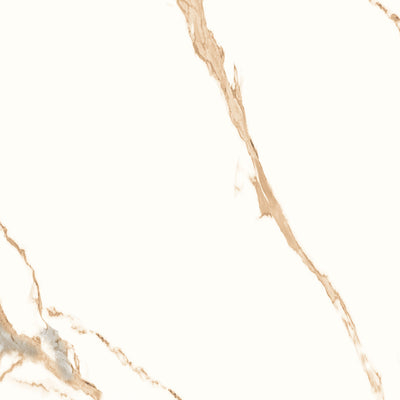 AT 60x60 Gold Polished