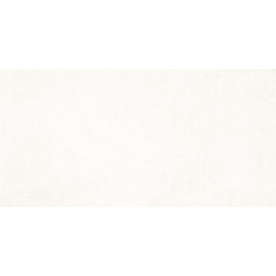 Everest 30x60 Blanco Matt R10