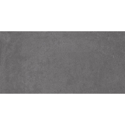 Everest 30x60 Graphite Matt R10