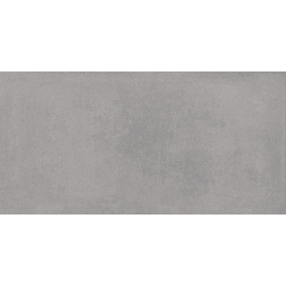 Everest 60x120 Grey Matt R10