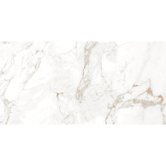 N 60x120 Brown Matt Carving